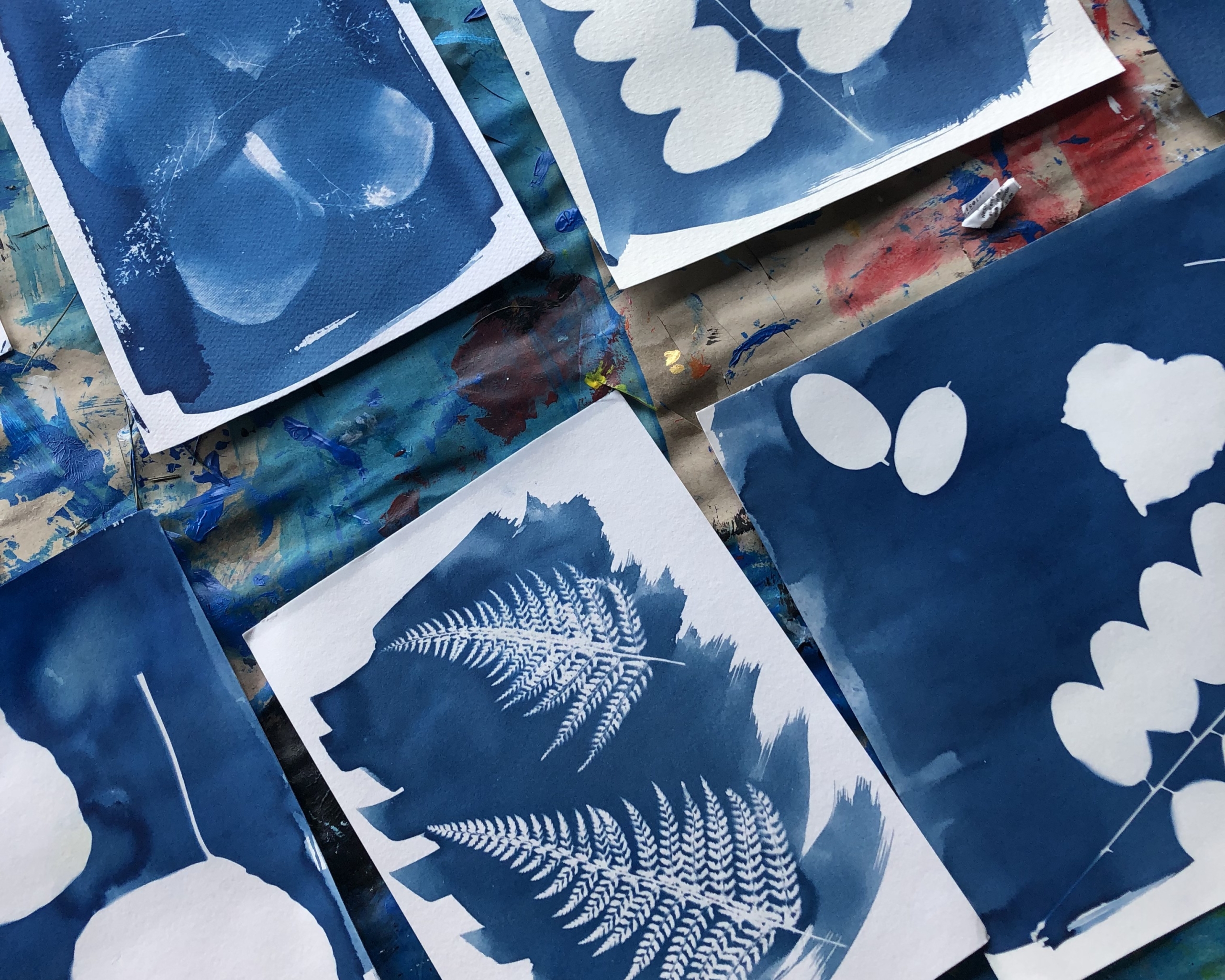 Atelier De Pratique Paysage